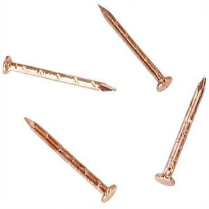 Four bright copper-plated nails with flat heads, scattered on white