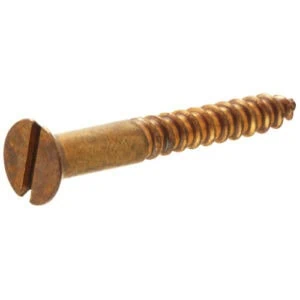 Slotted flat head brass wood screw with aged finish, single screw shown close up